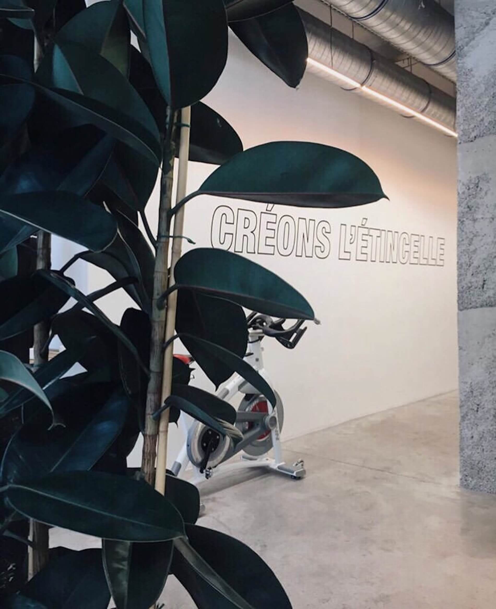 Plante verte et vélo devant l’inscription CRÉONS L’ÉTINCELLE au studio Oberkampf