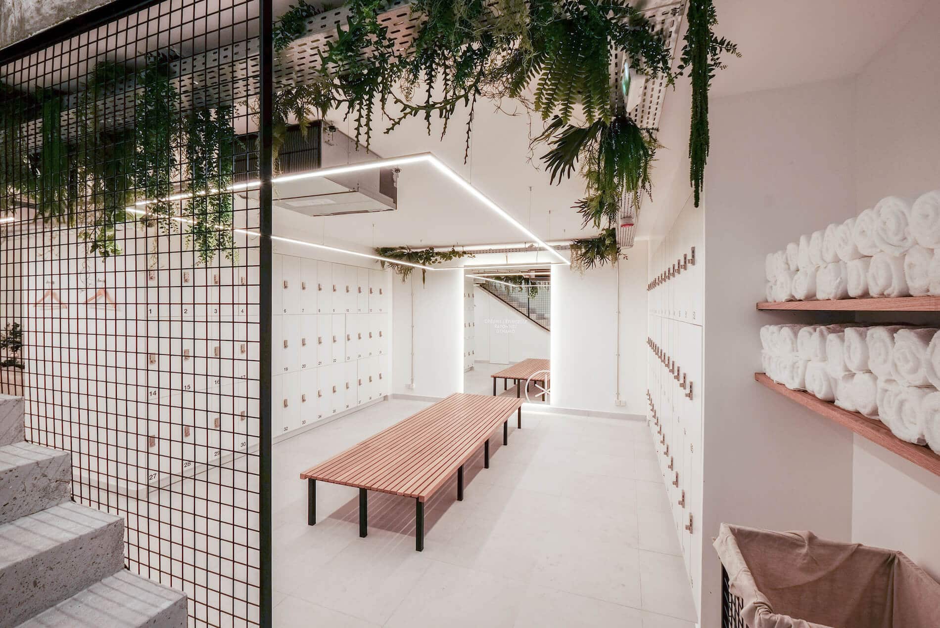 Vestiaires du studio Villiers : banc, casiers et plantes suspendues