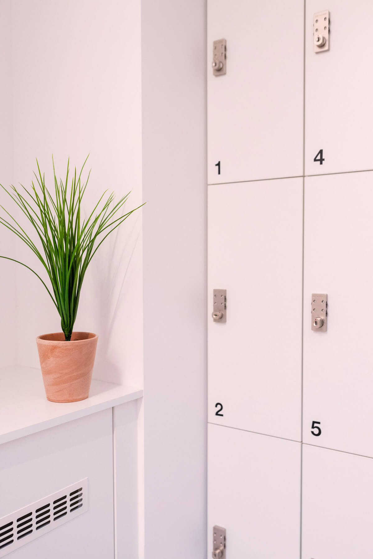Casiers numérotés et plante au studio Sèvres